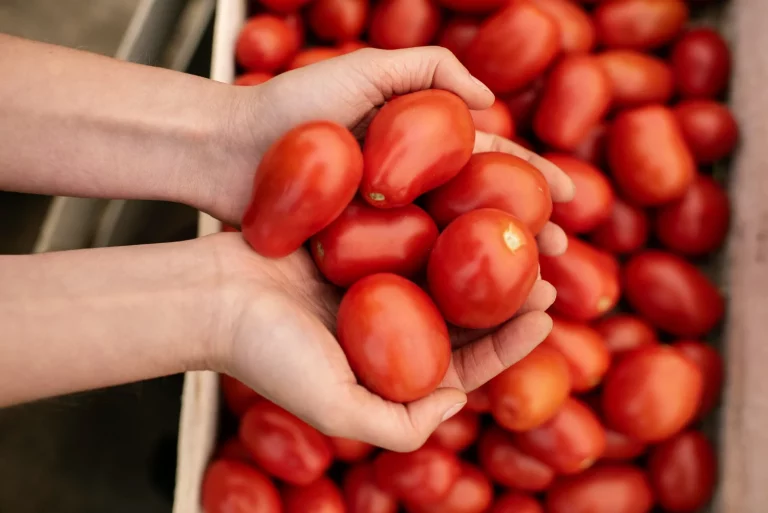 El error al guardar el tomate que lo convierte en insípido y lo hacemos todos, todos los días