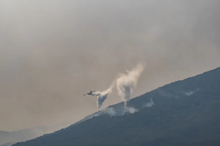La guerra política entre PP y PSOE aviva las llamas de los incendios en España