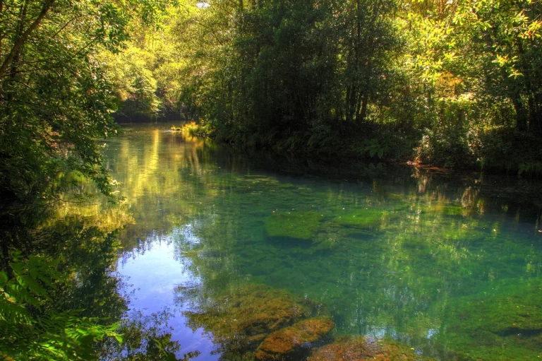 Llega la primavera: el bosque gallego que parece sacado de ‘El Señor de los Anillos’ ideal para recargar energías