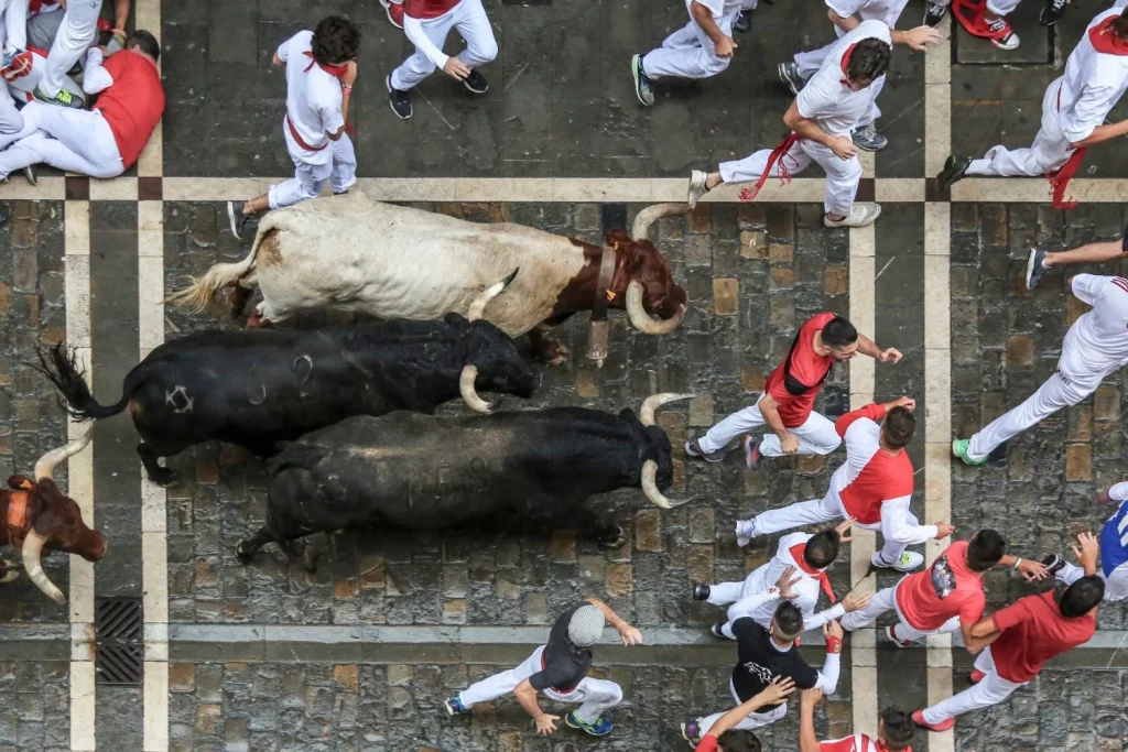 Alcalá celebra las fiestas taurinas