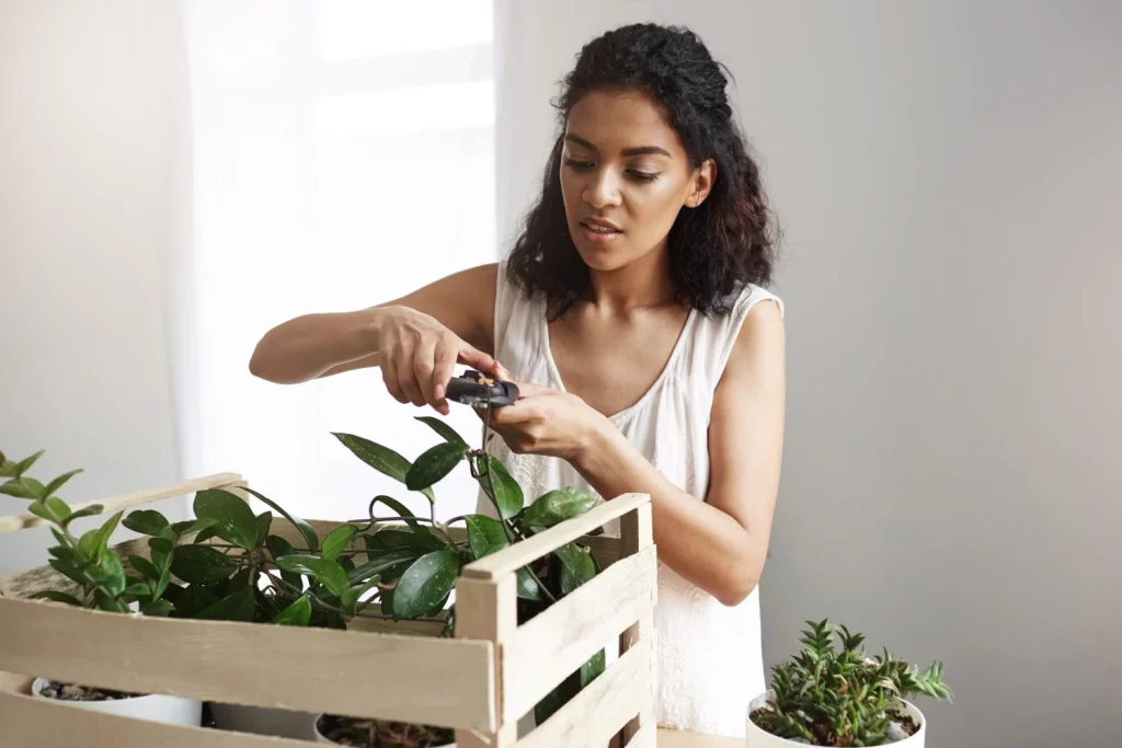 ¿Cómo debo dejar las plantas al irme de vacaciones para que me las encuentre bien? 7 Moncloa la planta de corte botanica femenina africana hermosa joven proviene en el lugar de trabajo copia espacio Moncloa