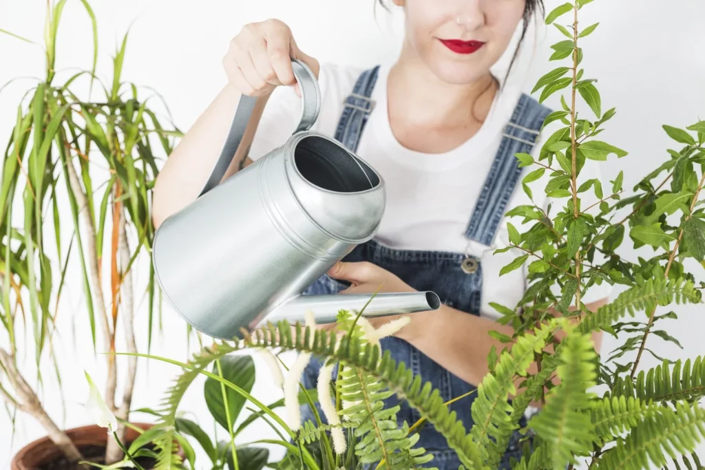 ¿Cómo debo dejar las plantas al irme de vacaciones para que me las encuentre bien? 11 Moncloa mujer vertiendo agua en plantas con regadera Moncloa