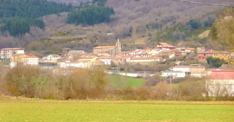 Hazte Oír estudia denuncias contra los responsables del campamento de Bernedo