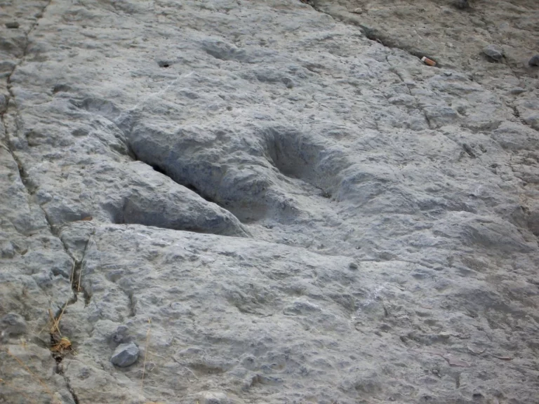 «Caminas sobre un mar de 200 millones de años»: Laura Sanz (42), paleontóloga, te enseña a tocar huellas de dinosaurio en esta playa de Asturias