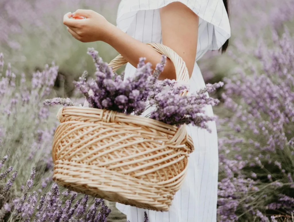 La aromaterapia se ha convertido en una ciencia detrás del bienestar