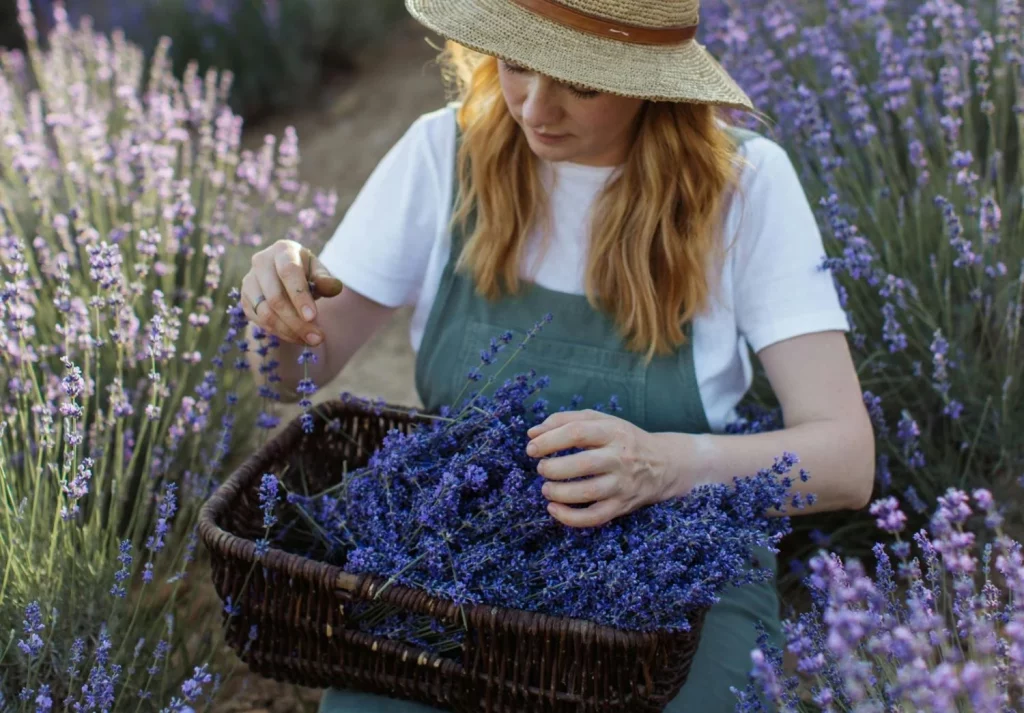 Un recurso natural al alcance de todos