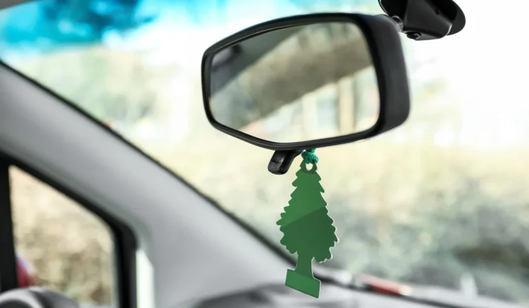 «El ambientador que pones en tu coche te está envenenando lentamente a ti y a tus hijos»: Dra. Laura Campos (51), toxicóloga, sobre el químico que todos respiramos