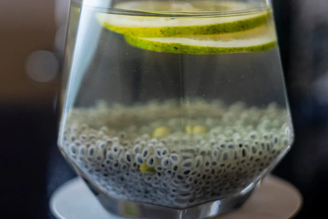 Beber agua de chía mejora tu hidratación