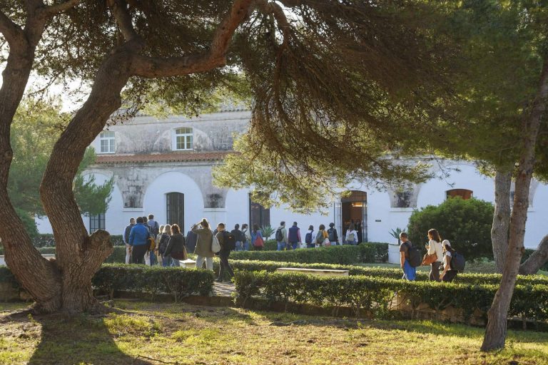 Desarrollo personal con retorno medible; la propuesta de Sa Jarana KM0 para empresas en Menorca