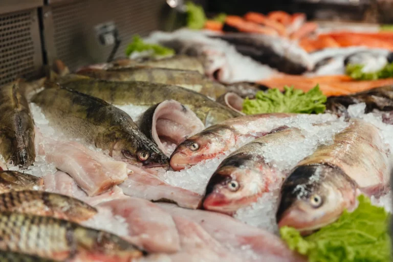 La OCU lo deja claro: este es el único pescado de Mercadona que deberías comprar si quieres evitar el mercurio
