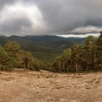 Camino Schmidt: el “bosque que se abre solo” y la vista que nadie ha fotografiado pero que ocurre cada noviembre, con la Cuerda Larga nevada
