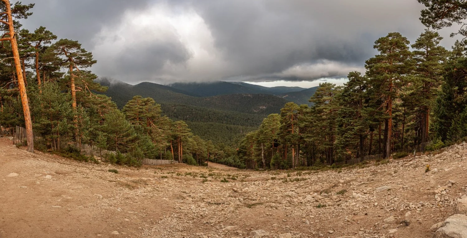 Camino Schmidt: el “bosque que se abre solo” y la vista que nadie ha fotografiado pero que ocurre cada noviembre, con la Cuerda Larga nevada