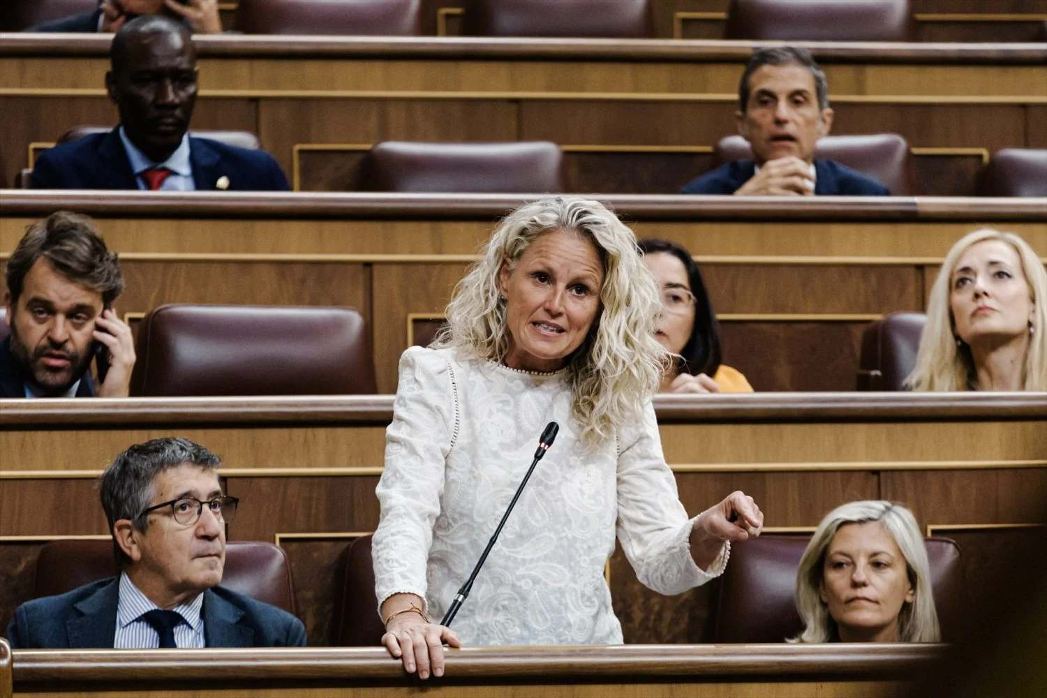 La diputada del PSOE Montse Mínguez interviene durante un pleno en el Congreso de los Diputados, a 10 de septiembre de 2025, en Madrid (Fuente: Agencias).