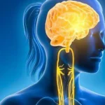 “El botón que apaga el estrés se encuentra en tu sistema nervioso”: Dr. Néstor Avendaño (49), neurólogo, comparte 5 técnicas para reducir los niveles de cortisol