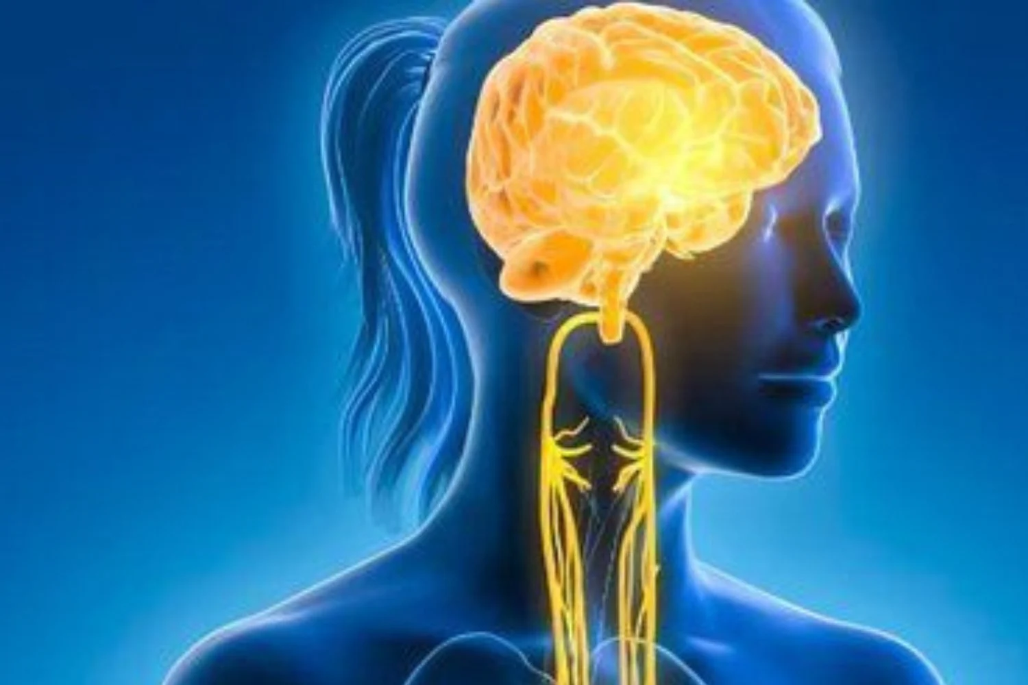 “El botón que apaga el estrés se encuentra en tu sistema nervioso”: Dr. Néstor Avendaño (49), neurólogo, comparte 5 técnicas para reducir los niveles de cortisol