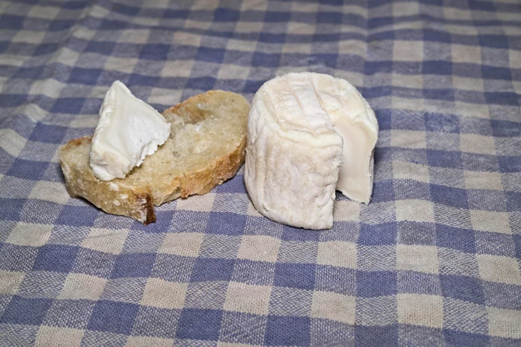 La verdad detrás del queso: La tradición gallega se pierde porque las grandes cadenas eliminan el cabra artesanal por productos insípidos 1 Moncloa La uniformidad en la oferta de queso esconde una batalla silenciosa que afecta directamente a lo que llevamos a nuestra mesa. Fuente: Freepik