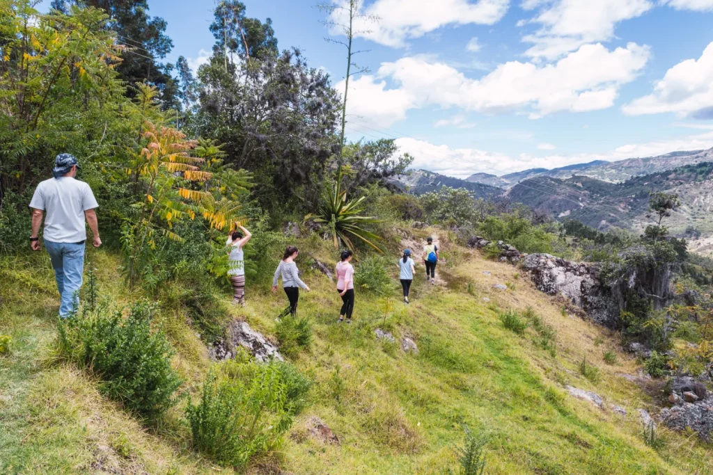 Marta Ríos (58), inspectora de turismo rural, sobre la estafa de la casa rural perfecta: "Si ves esta palabra en el anuncio, huye, es una ruina garantizada"de alquileres rurales que disfrazan problemas graves de la vivienda. 1 Moncloa Hay un lenguaje no escrito en los portales de turismo rural que conviene descifrar. Ciertas palabras, aparentemente inofensivas, son en realidad una cortina de humo. Fuente: Freepik