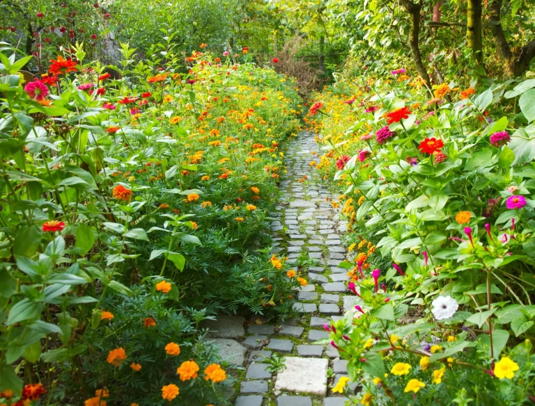 El medicamento que tienes en tu botiquín es el truco de los jardineros de la Alhambra para flores espectaculares