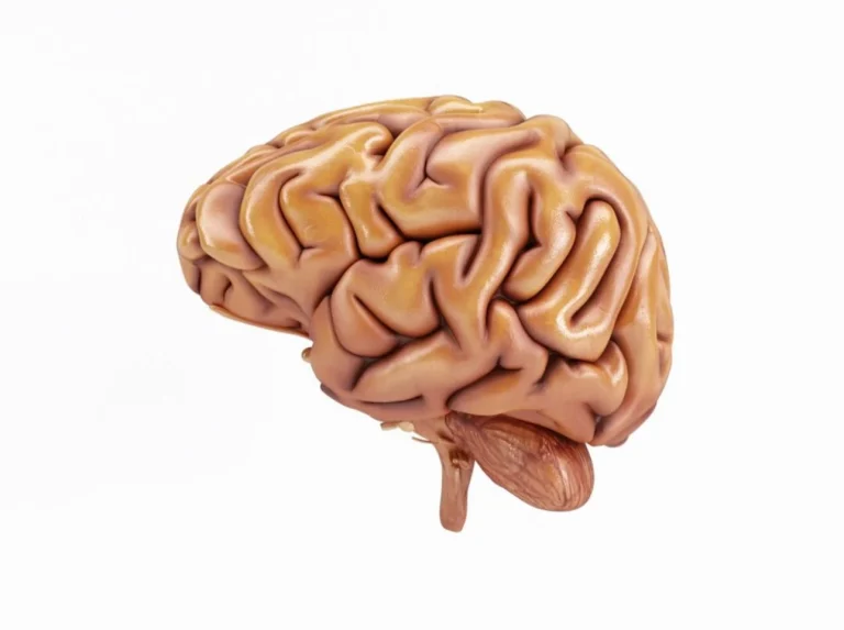 Nazareth Castellanos (48 años)​, neurocientífica, te enseña a reprogramar tu cerebro