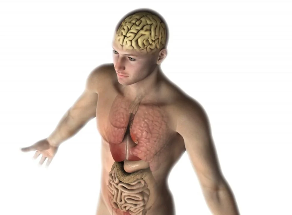Una visión que redefine la relación entre mente y cuerpo