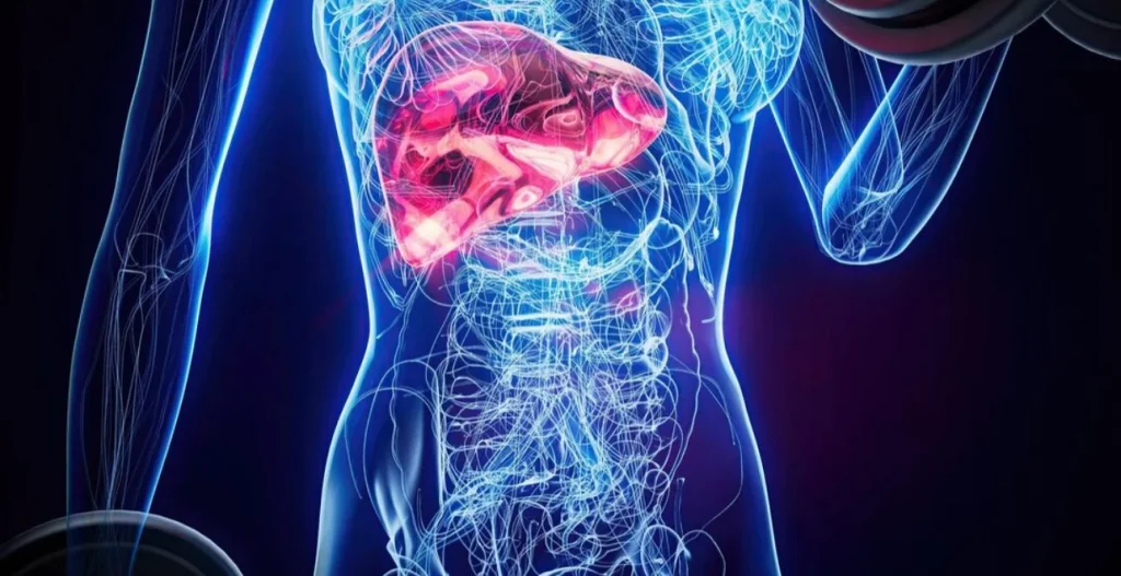 Un exceso que el cuerpo no siempre puede gestionar