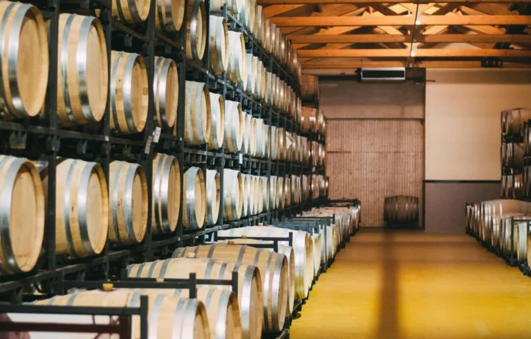 Rioja Alavesa conquista el podio mundial con la tercera mejor bodega que enamora a todos sus visitantes