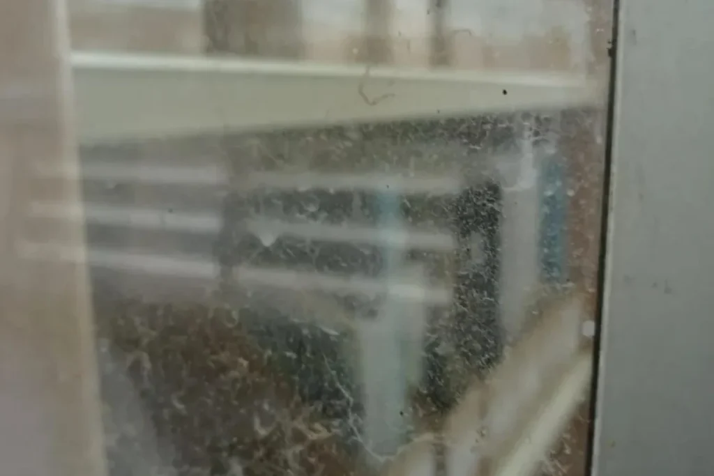 El ambiente perfecto para virus y bacterias: los cristales