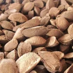 “Con solo 2 nueces de Brasil te nutres de magnesio sin necesidad de suplementos”, afirma el Dr. César Ábalos (51), nutricionista holístico