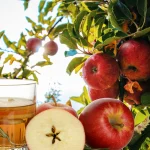 Dra. Sofía Duarte (37) dietista: “El vinagre de manzana es un remedio natural, si lo usas correctamente nutres tu organismo y pierdes peso sin complicaciones”