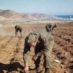Cuatro bombas nucleares cayeron sobre Almería en 1966: el accidente que pudo convertir España en un desierto radiactivo