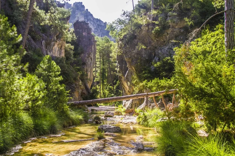 Esta ruta de pasarelas parece una selva tropical en Aragón: gargantas estrechas, aguas cristalinas y pozas verdes para meter los pies