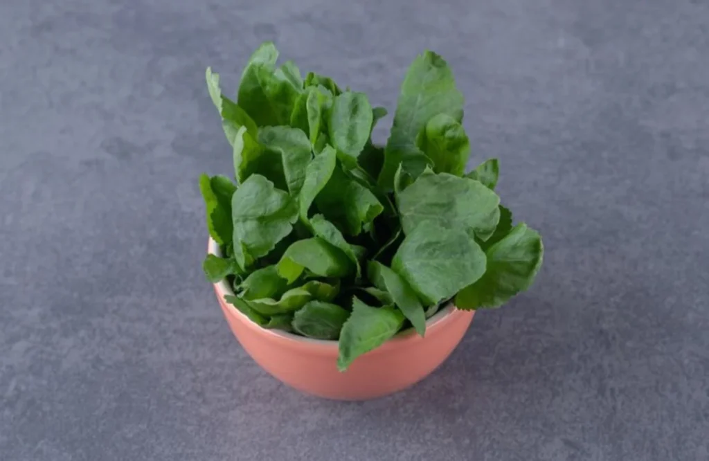 Un vegetal pequeño con un impacto enorme