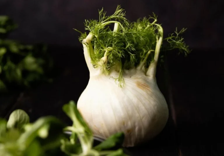 Estas son las 3 enfermedades que el hinojo puede ayudar a combatir de forma natural