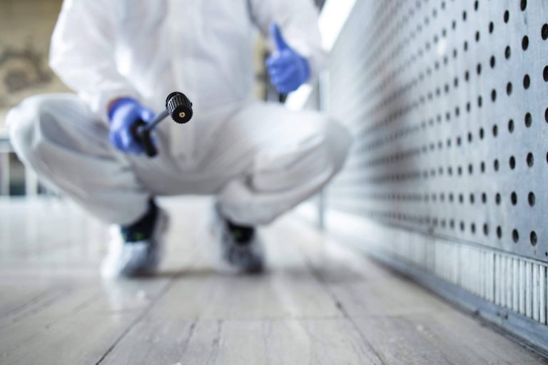 Aumentan las plagas en negocios españoles; expertos alertan del riesgo económico y sanitario para empresas