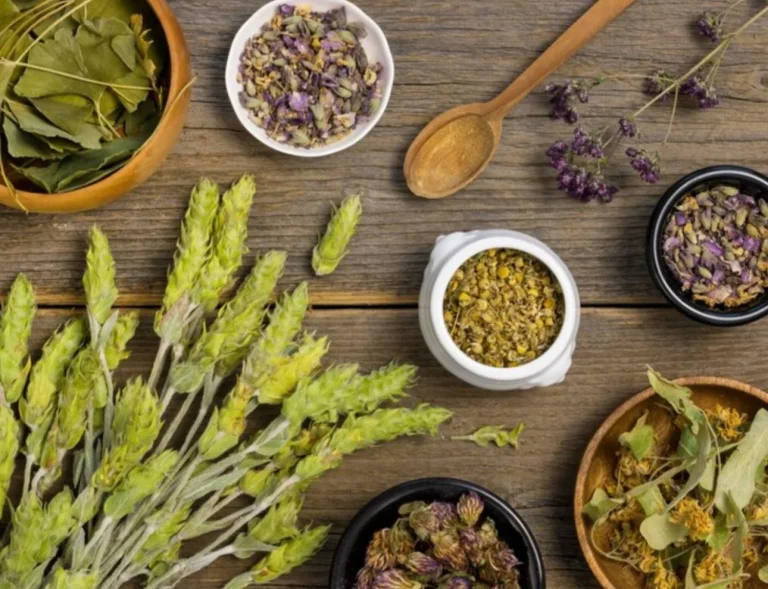 La planta que cuida tu tracto urinario y actúa como antiinflamatorio natural