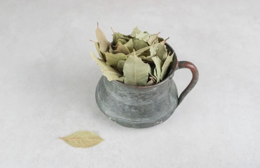 Un aliado para la digestión y el confort intestinal