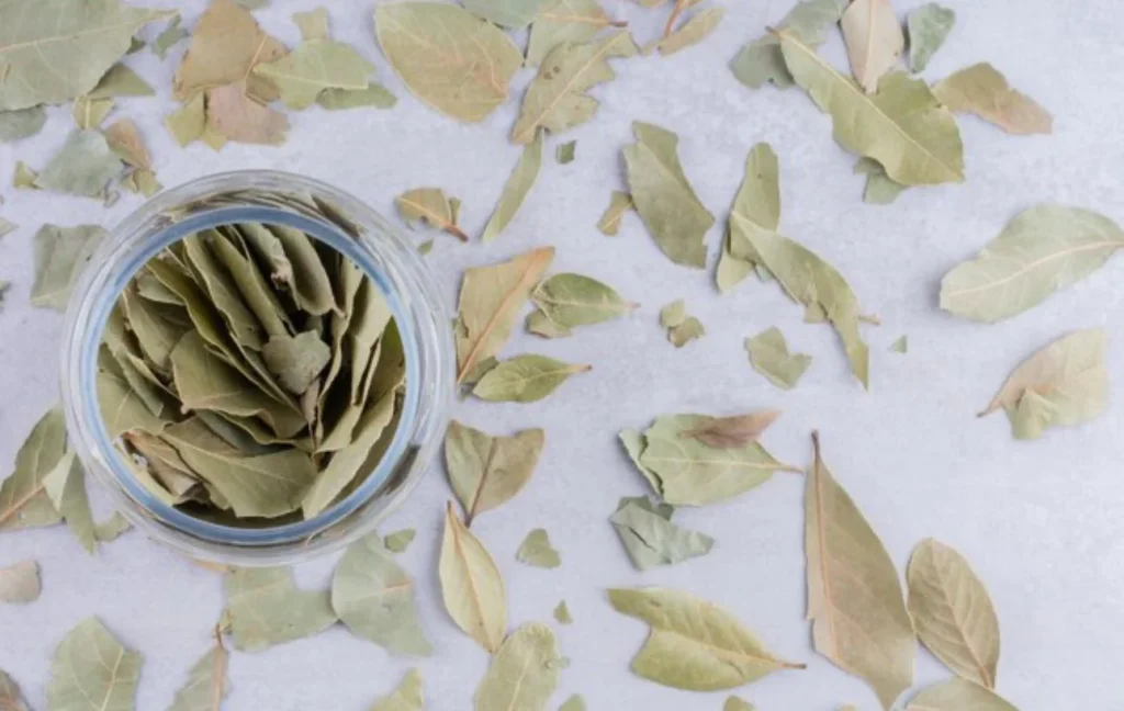 El té de laurel para los resfriados, la garganta y las defensas del organismo