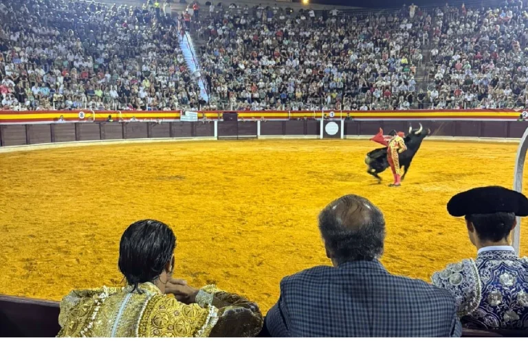 Francisco D’Agostino anuncia para febrero la presentación oficial de la temporada taurina 2026 en Baleares