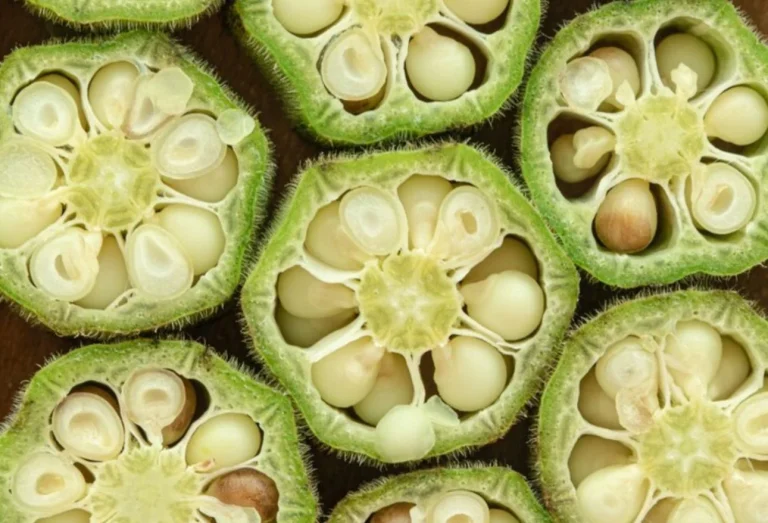 Lo que ocurre en tu cuerpo cuando incorporas agua de okra a tu rutina diaria
