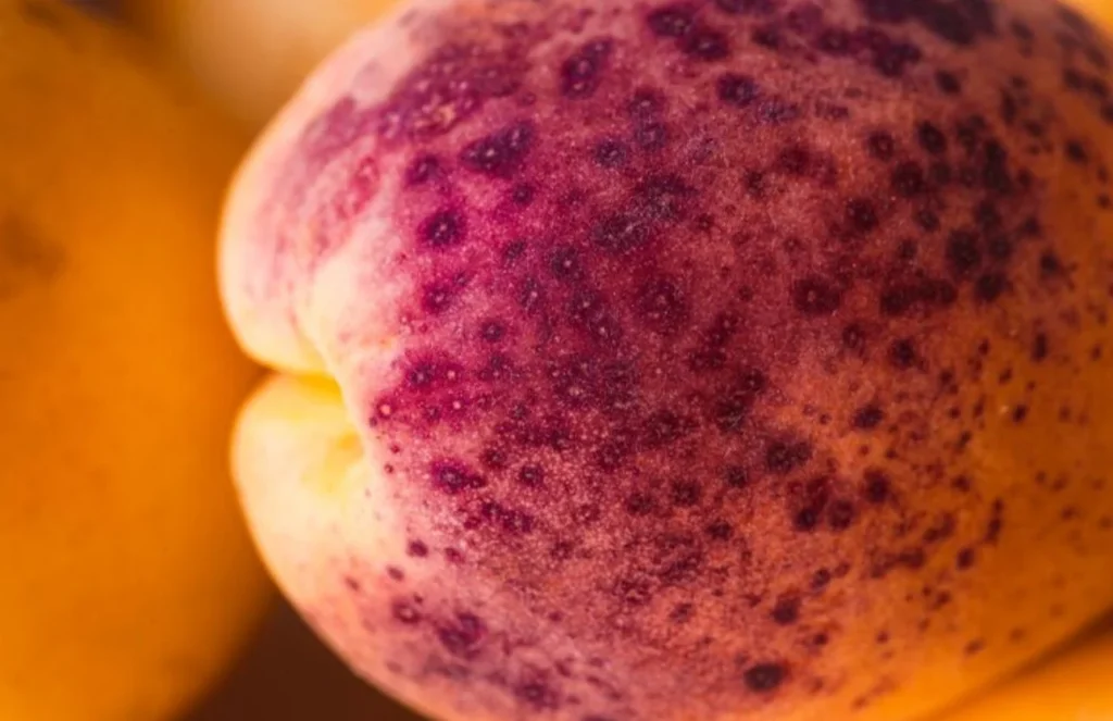 Frutas con moho, el peligro que no se ve