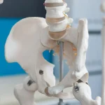 El virus que afecta al 60 % de la población y podría estar dañando los huesos con la edad