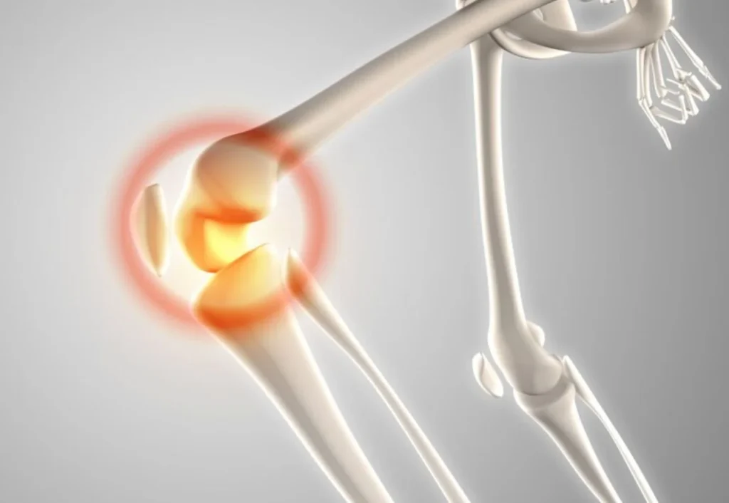 Qué explica la ciencia sobre esta relación