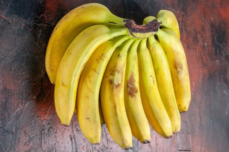 Crisis del plátano de Canarias: los precios en origen caen a 0,76 euros/kilo y el sector alerta de venta con pérdidas