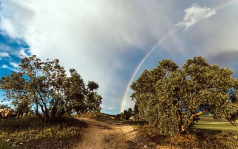 Un pueblo de Extremadura guarda un bosque subterráneo dentro de una antigua mina