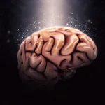 Estos son los 4 momentos decisivos del cerebro con el paso de los años