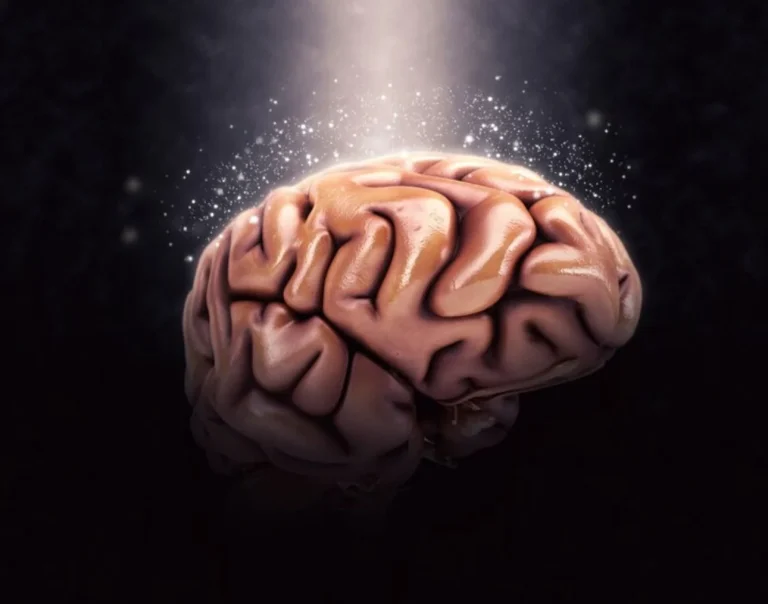 Estos son los 4 momentos decisivos del cerebro con el paso de los años