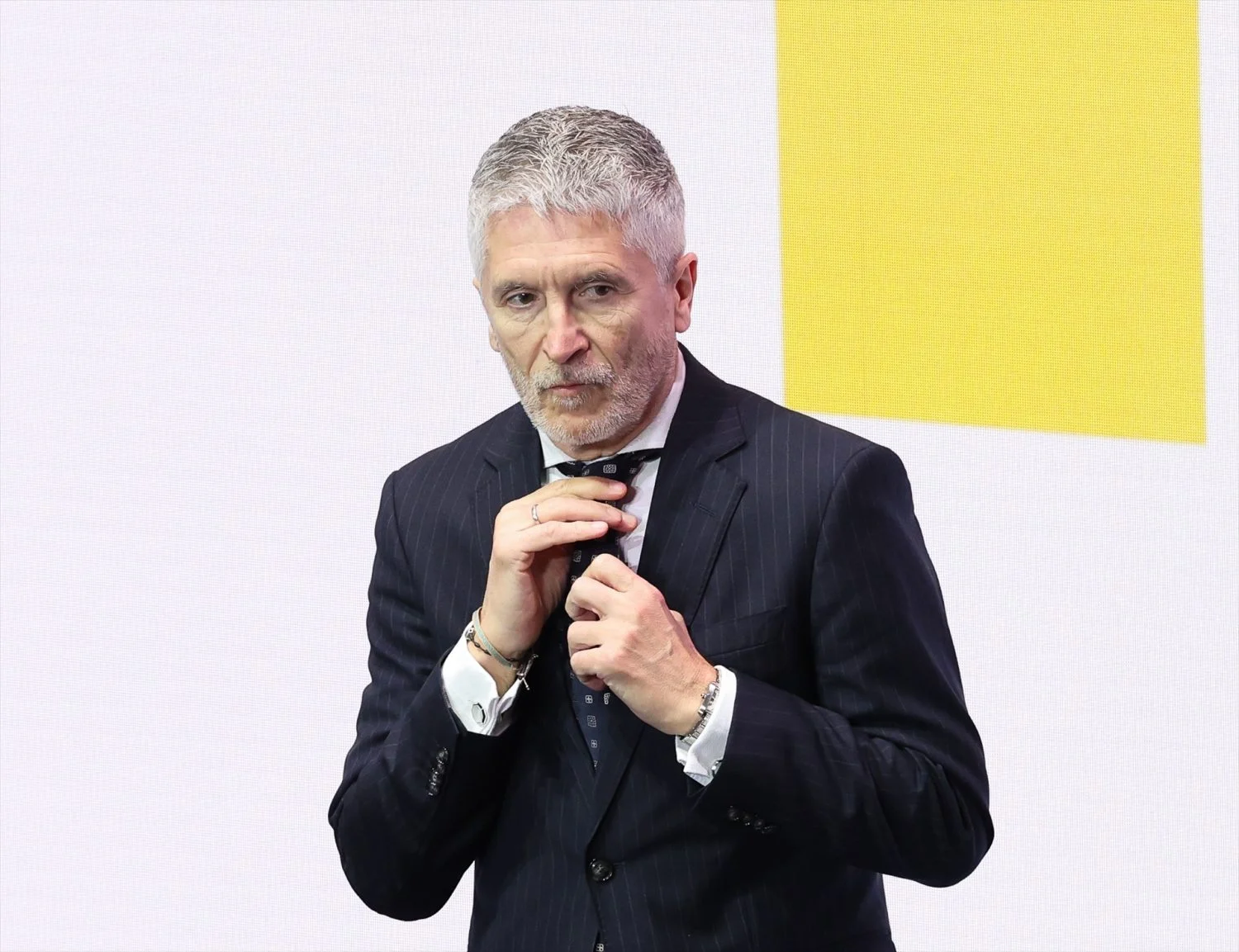 El ministro del interior, Fernando Grande-Marlaska El ministro del interior, Fernando Grande-Marlaska (Fuente: Agencias)