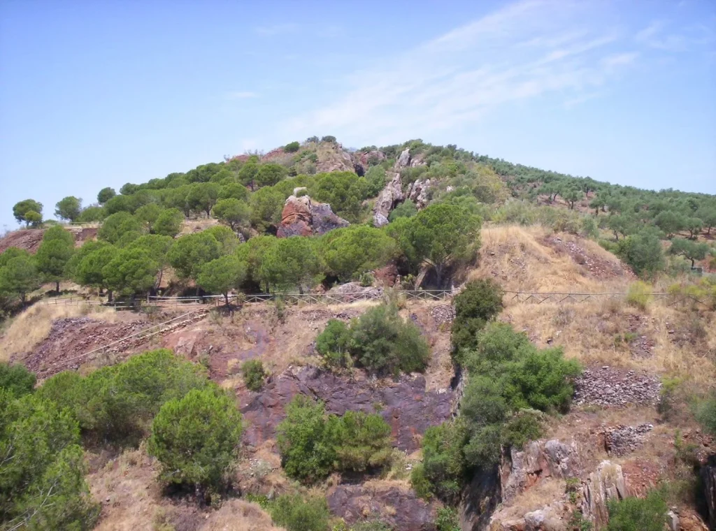 Un bosque bajo tierra que solo existe aquí