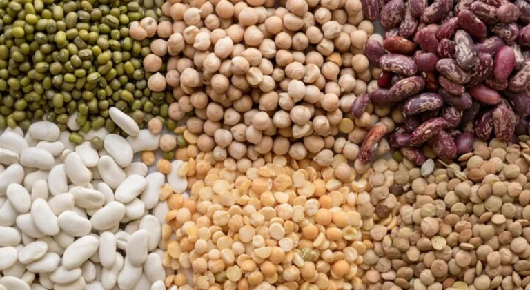 Estas legumbres baratas y olvidadas pueden mejorar tu alimentación más de lo que crees