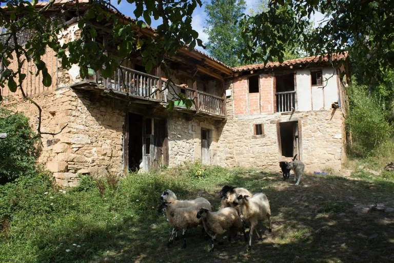 El pueblo entero que puedes comprar en los Picos de Europa por el precio de un piso pequeño en el centro de Madrid